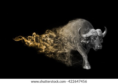 The buffalo is one of the big five animals you must see in africa, animal kingdom collection, African wildlife Royalty-Free Stock Photo #422647456