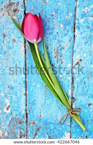 Fresh spring red tulips on vintage blue wood background with copy space, top view, natural light and shadows.