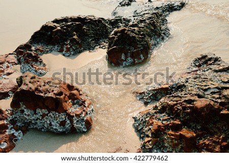 Mussel stuck with boulder,Beach, Thailand