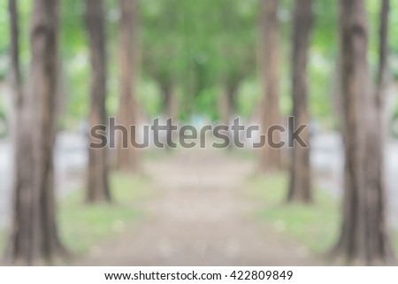 blur soil walkway in the park, place to exercise and relax, good weather, background