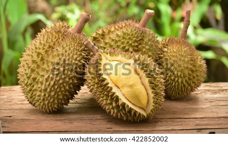 durian fruit Royalty-Free Stock Photo #422852002