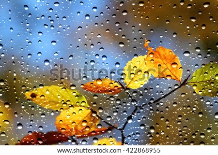 View of the colors of autumn, leaves through the window glass covered by raindrops
