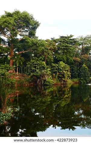 Reflecting Pond in Jamaica