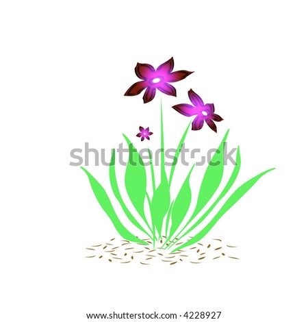flowers pink with green leaves  on white   background