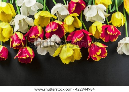 Many of tulips on a dark background
