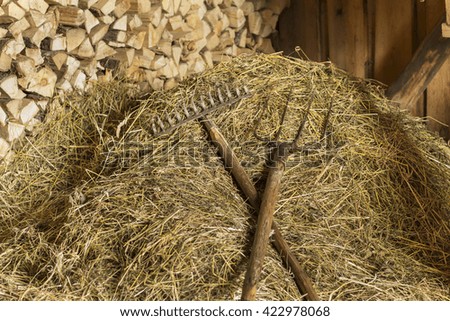 rakes and pitchfork lie on the haystack in the barn