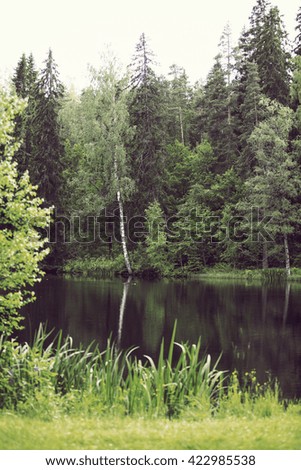 Peaceful and calm scenery in Finland during summer. Green grass and forest reflecting from the water. Grass in the front is out of focus. Image has a vintage effect applied.