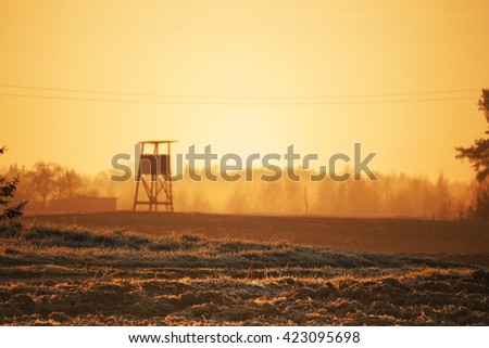 Hogs watchtower on a spring dawn, hunting tower