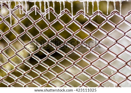 Icy fence