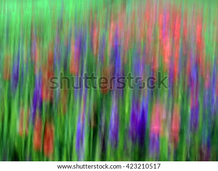 Abstract blurry image of a field with spring flowers