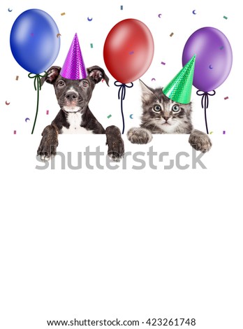 Puppy and kitten hanging over blank banner wearing party hats with balloons and confetti