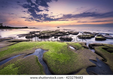 super green moss foreground with stunning sunset sky. image contain soft focus and blur due to long expose.
