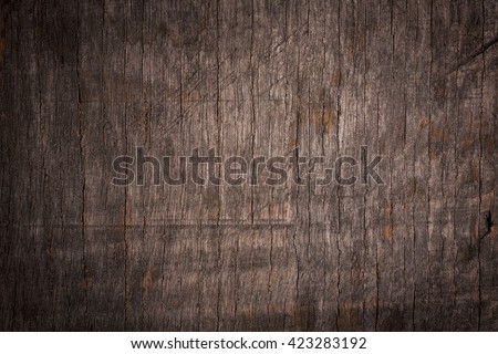 Wood Texture/ Wood Texture  Royalty-Free Stock Photo #423283192