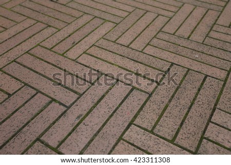 patterned paving tiles,  brick floor background