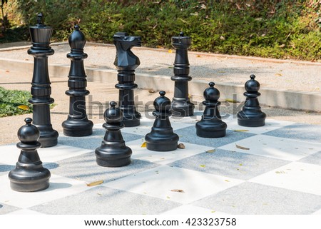 group of big chess on the big chessboard