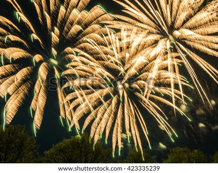 Big colorful fireworks at night, celebration fest