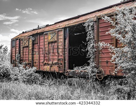 Old railway wagon derelict captured by vegetation - Black and white and red.