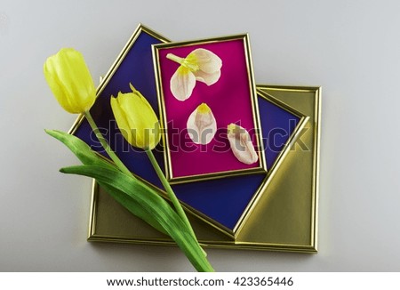 Tulip posted in blue, pink and gold color frames