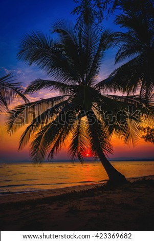 Silhouette coconut palm trees on beach at twilight time. Vintage tone.