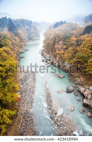 Japanese canyon in autumn