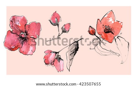 Flower set. Realistic pencil drawn floral background. Ink, pencil, watercolor. Botanical art illustration. Vintage design for sketchbook, travel book, greeting card, postcard, invitation, fabric.