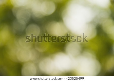  Bright green bokeh from sunshine ,abstract background