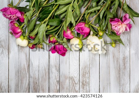 White and pink peonies flowers on the white painted wooden planks. Place for text. Square image. Top view.