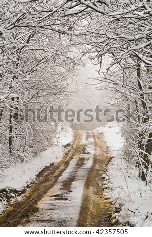 Path in a snowy winter day