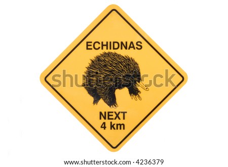 Australian echidna road sign warning isolated on white background