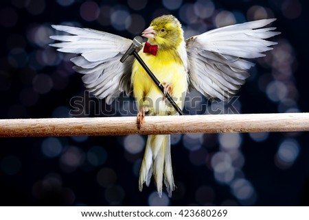 Canary with microphone singing on a stick 