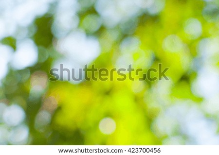 bokeh lights from nature use as background, eco concept