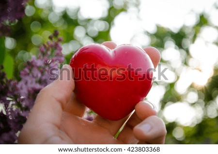 Heart in hand on nature background