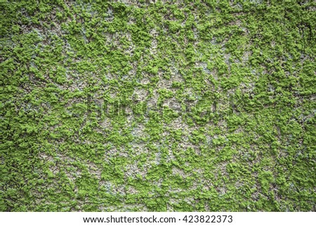 Abstract green wall texture for background 