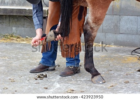 Cleaning hooves