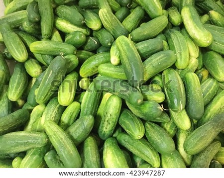 Fresh cucumber background