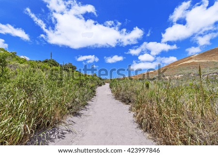 Hiking trail / path through the California Central Coast foothills, with blue skies and puffy white clouds, perfect for resting, picnicking, hiking, biking, & walking. Photographed near Avila Beach.