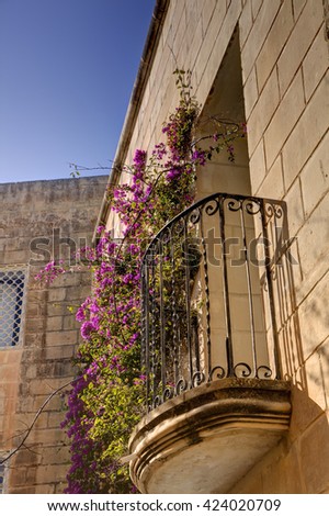 HDR photo of pink blooming plants growing on and across a stone wall and an old balcony in the Mdina city, former historic Malta capital