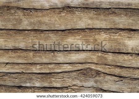 Driftwood. Macro shoot of wooden plank thrown out from water, texture of water aged plank. Close-up.