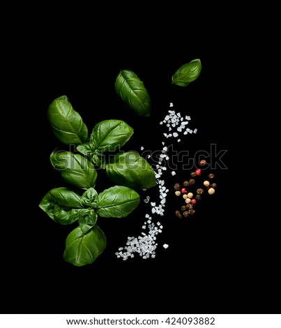 green basil leaves salt and pepper on a black background Royalty-Free Stock Photo #424093882