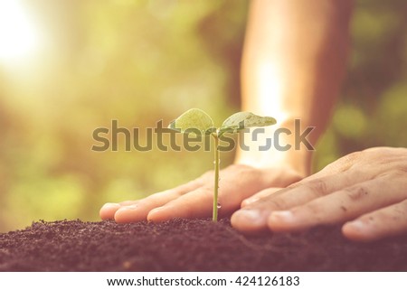 Nurturing baby plant / protect nature