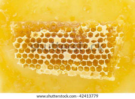 Honeycombs  isolated on white background