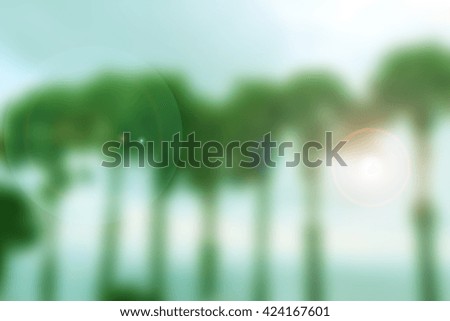 sunset and shadow of palm tree blurry background 