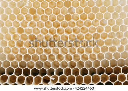 Close up view of natural honeycomb background.