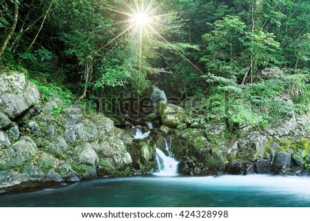 Scenic view of a lovely cascade flowing into a stream in a mysterious forest with bright sunlight shining through lush greenery ~ Beautiful river scenery of Taiwan in springtime