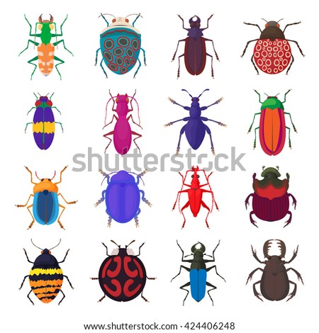 Insect bug set