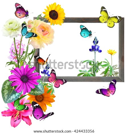 Colorful beautiful flowers and butterflies with blank wooden frame (for photo, picture or text). Nature and art abstract. With copy space is available. Isolated on white