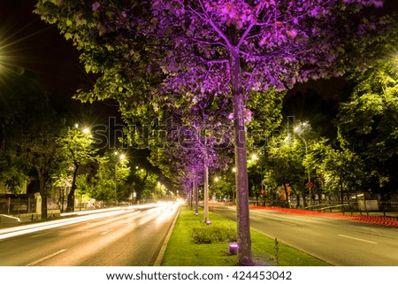 Pink tree Bucharest traffic lights