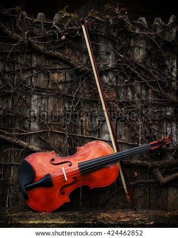 Violin on Wooden Shelf with Bow