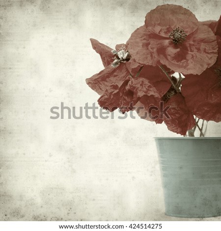 textured old paper background with bunch of red poppies