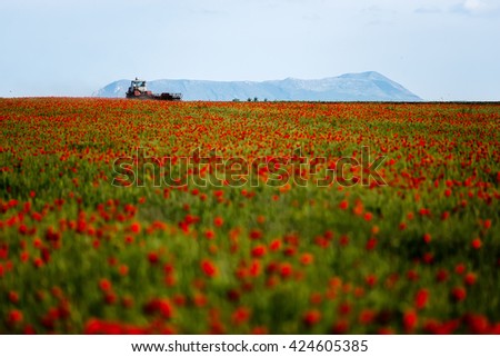 Tractor collects a harvest of poppies in a mountainous area in the Crimea against the background of mountains